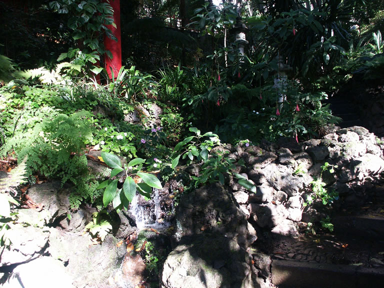 Madeira, Jardim Tropical Monte Palace bei Regen 